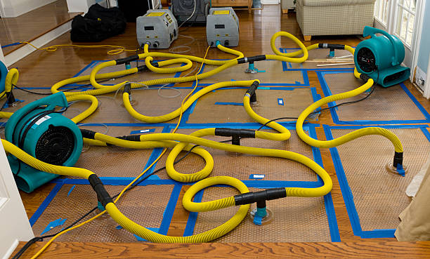 Professional Water Damage Restoration technician working in Evanston, IL